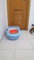 Sam