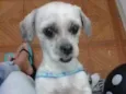 não sei