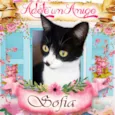Sofia