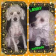 Lenny
