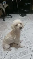Lenny