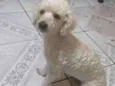 Lenny