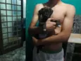  sem nome ainda
