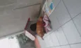 Totó Pimpão