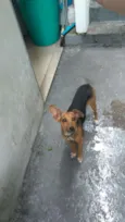 Soldado