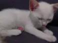 Bebê