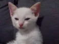 Bebê