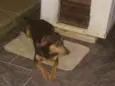 Lilica