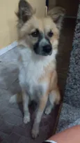 Hasteg