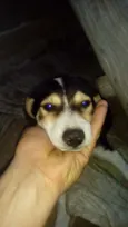 Sadan