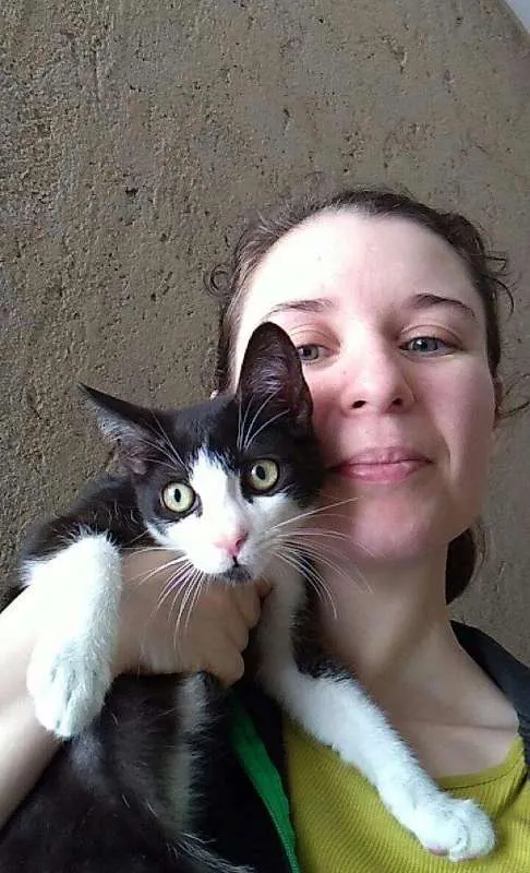 Gato ra a SRD idade 2 a 6 meses nome Paulinho