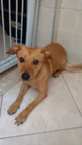 Lola