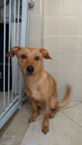 Lola