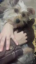 Lili