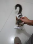 Lola
