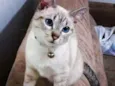 Penelope