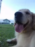 Fiona