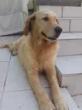 Fiona