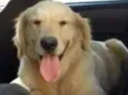 Fiona