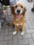 Jully