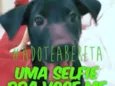 Beretta