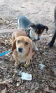 Kiara e Kira 