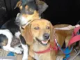Kiara e Kira 
