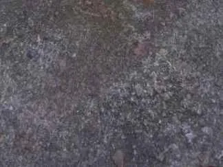 Cachorro ra a  idade Abaixo de 2 meses nome Doa-se Filhotes