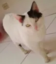 KYARA
