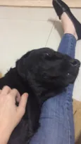 Mel