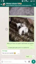 Kikito
