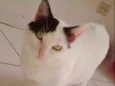KYARA