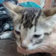 Chiquinho