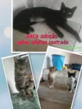 Sem nomes