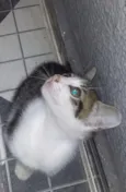 Não tem ainda um nom