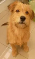 Bob