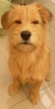 Bob