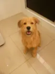 Bob