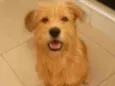 Bob