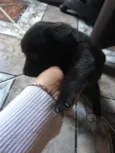 Não coloquei nome