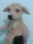 Bella