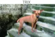 Trix