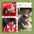 Katita 