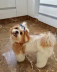 Lila