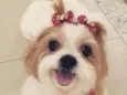 Lila