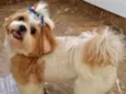 Lila