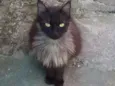 Helena