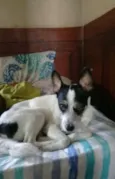 Bob