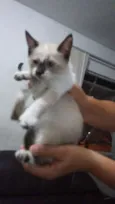 Dori