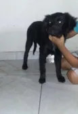 ainda não tem